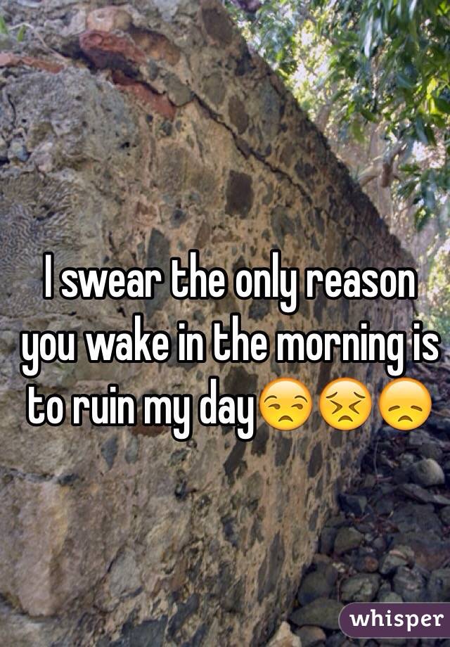 I swear the only reason you wake in the morning is to ruin my day😒😣😞