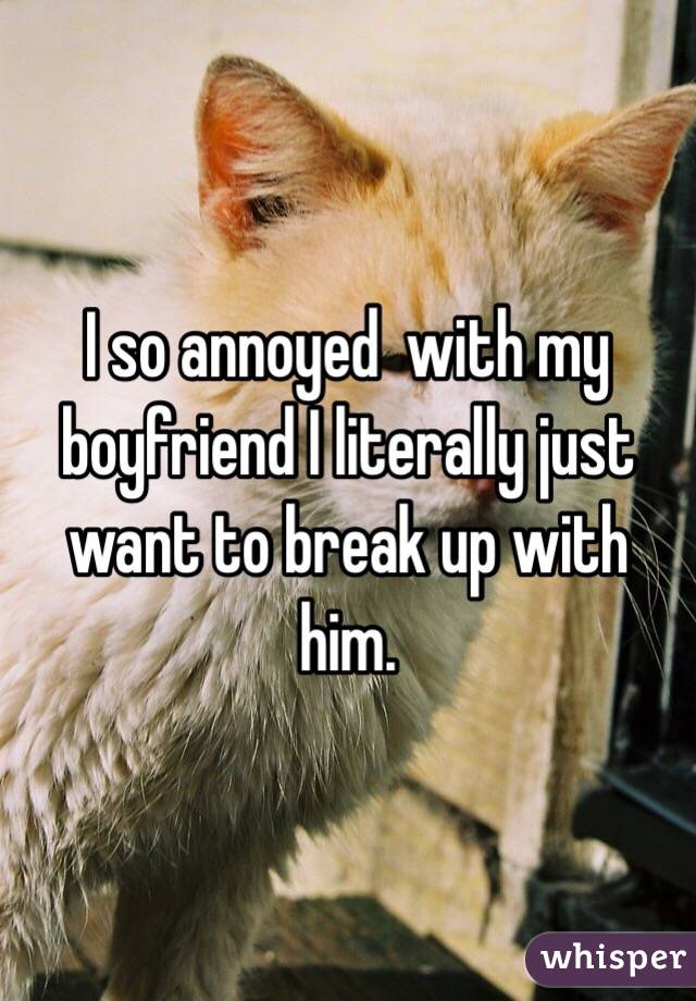 I so annoyed  with my boyfriend I literally just want to break up with him. 