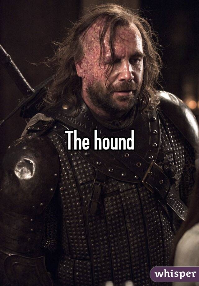 The hound 