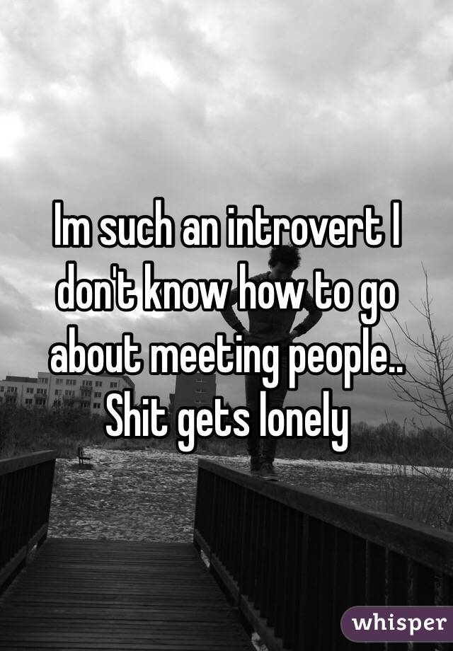 Im such an introvert I don't know how to go about meeting people.. 
Shit gets lonely