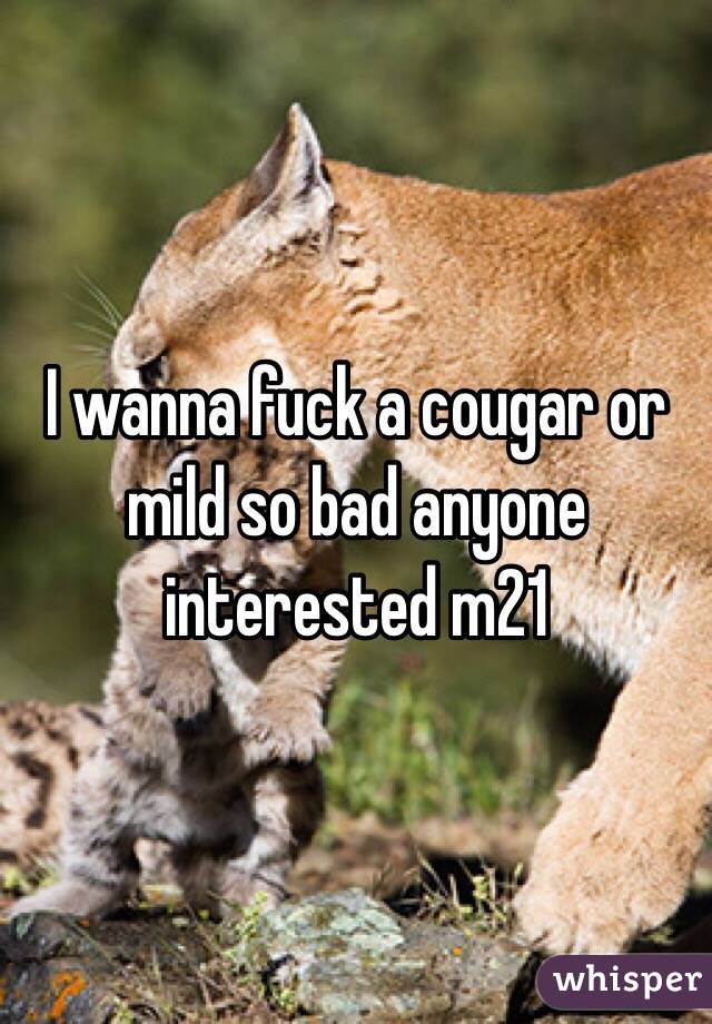 I wanna fuck a cougar or mild so bad anyone interested m21