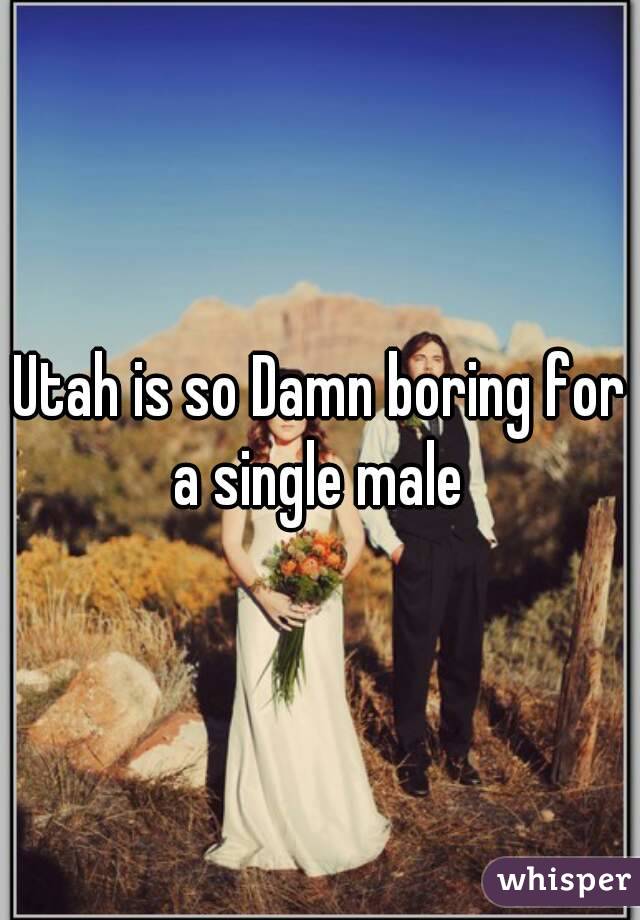 Utah is so Damn boring for a single male 