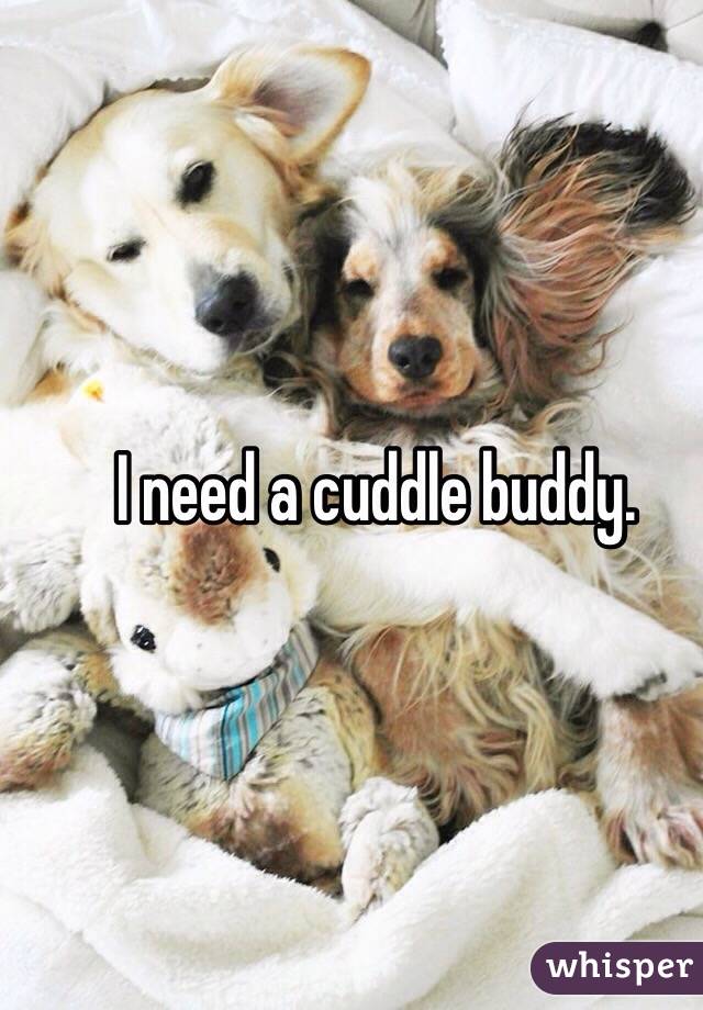 I need a cuddle buddy.