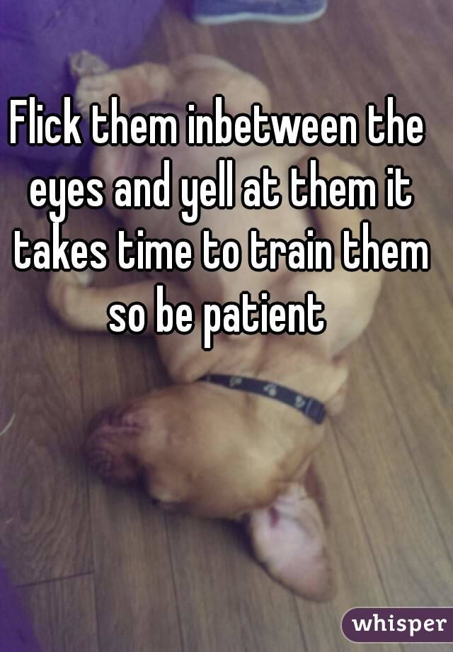Flick them inbetween the eyes and yell at them it takes time to train them so be patient 