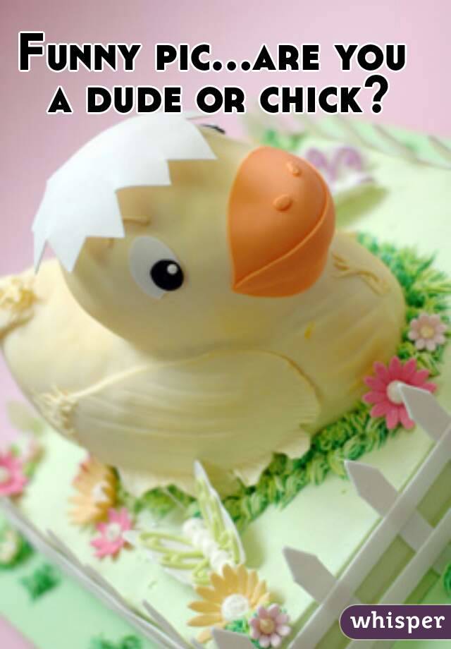 Funny pic...are you a dude or chick?