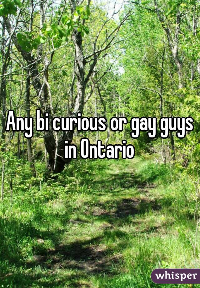 Any bi curious or gay guys in Ontario 