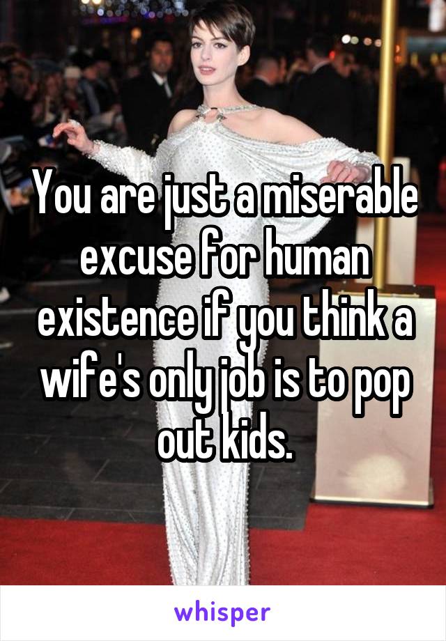 You are just a miserable excuse for human existence if you think a wife's only job is to pop out kids.