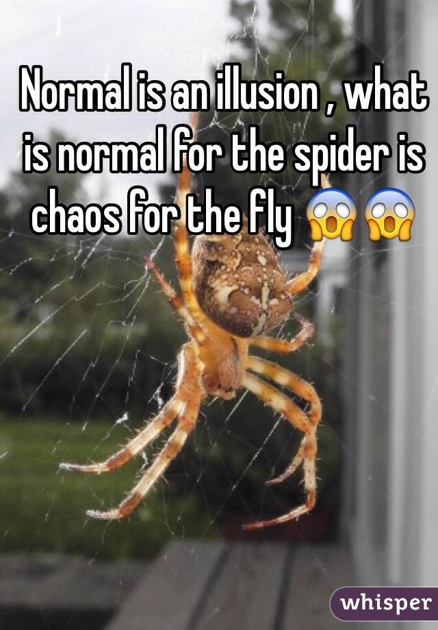 Normal is an illusion , what is normal for the spider is chaos for the fly 😱😱