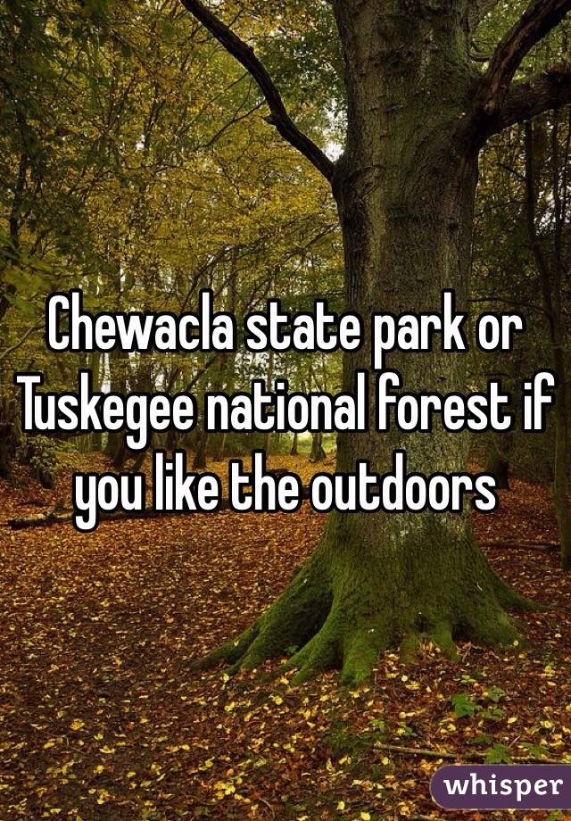 Chewacla state park or Tuskegee national forest if you like the outdoors