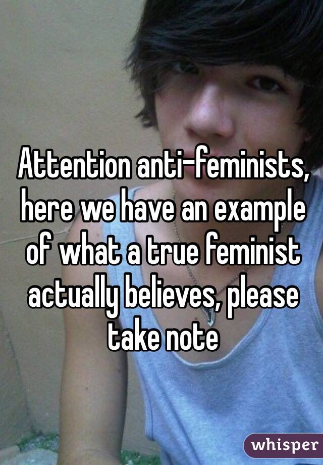 Attention anti-feminists, here we have an example of what a true feminist actually believes, please take note