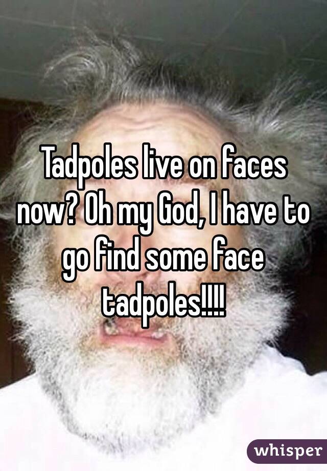 Tadpoles live on faces now? Oh my God, I have to go find some face tadpoles!!!!