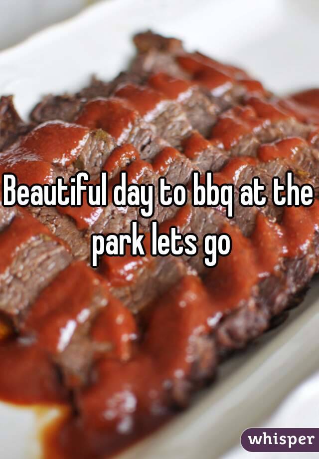 Beautiful day to bbq at the park lets go