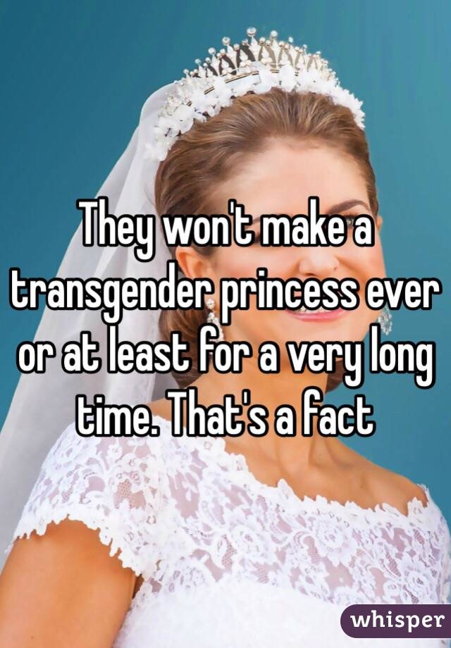 They won't make a transgender princess ever or at least for a very long time. That's a fact 