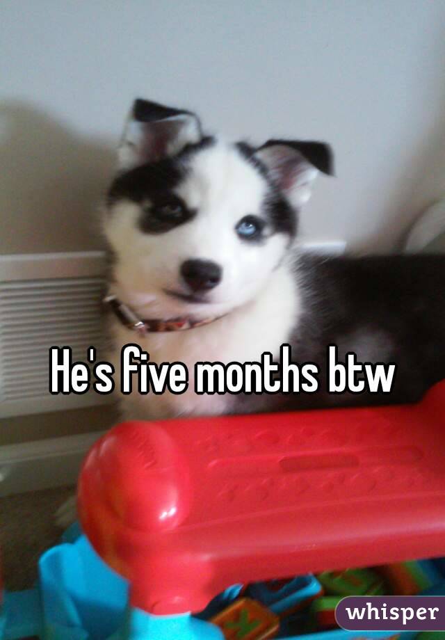He's five months btw