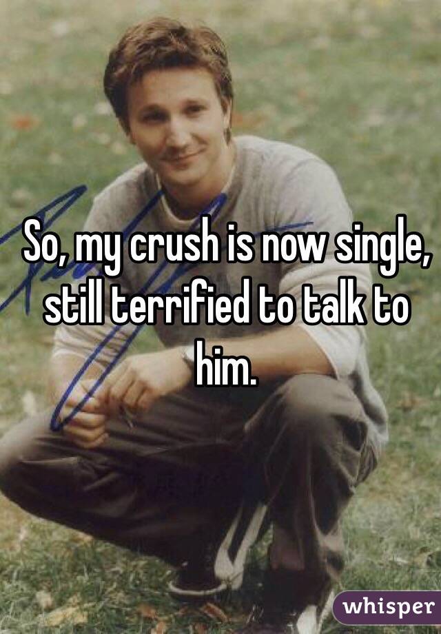 So, my crush is now single, still terrified to talk to him.