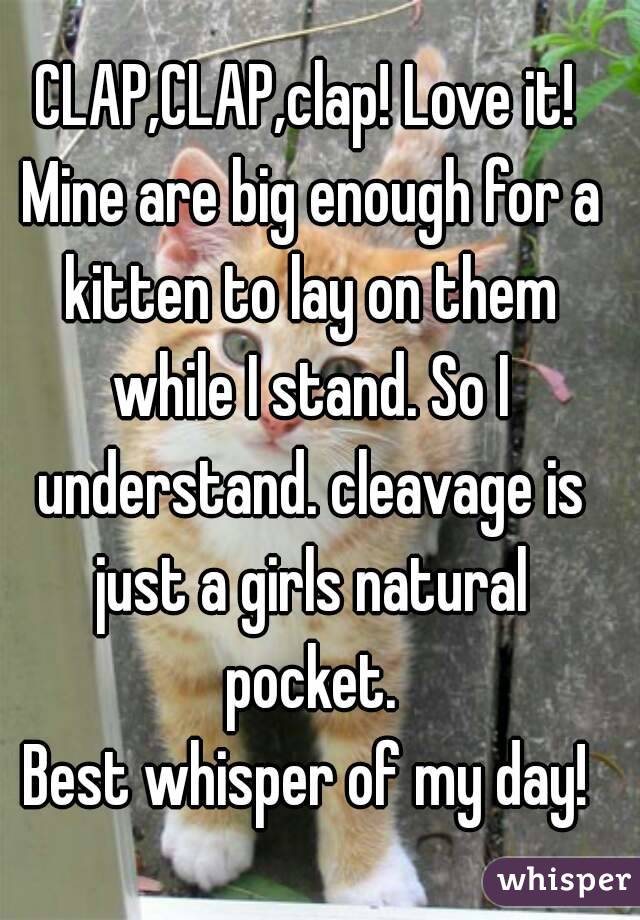 CLAP,CLAP,clap! Love it! Mine are big enough for a kitten to lay on them while I stand. So I understand. cleavage is just a girls natural pocket.
Best whisper of my day!