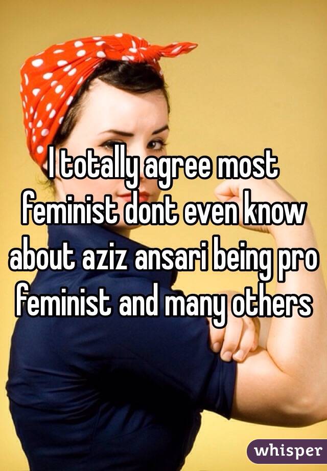 I totally agree most feminist dont even know about aziz ansari being pro feminist and many others