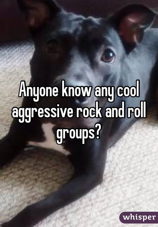 Anyone know any cool aggressive rock and roll groups? 