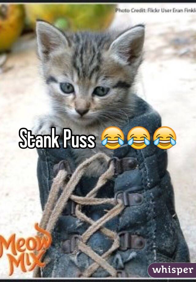 Stank Puss 😂😂😂