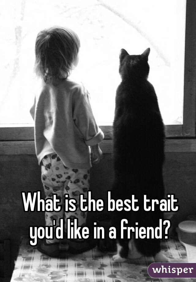What is the best trait you'd like in a friend?