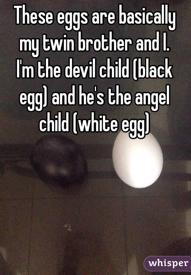 These eggs are basically my twin brother and I. 
I'm the devil child (black egg) and he's the angel child (white egg) 