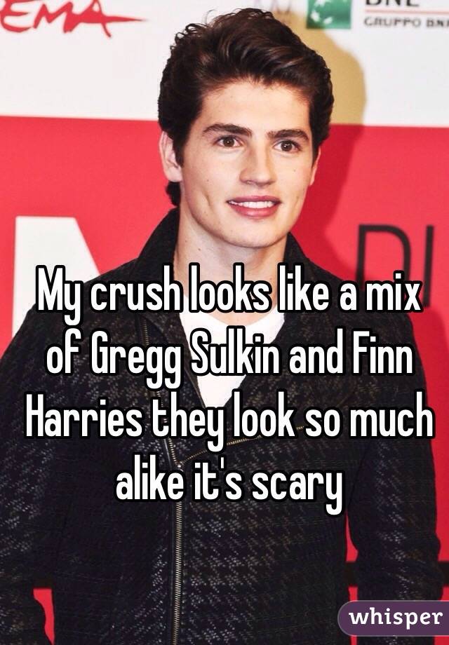 My crush looks like a mix of Gregg Sulkin and Finn Harries they look so much alike it's scary 
