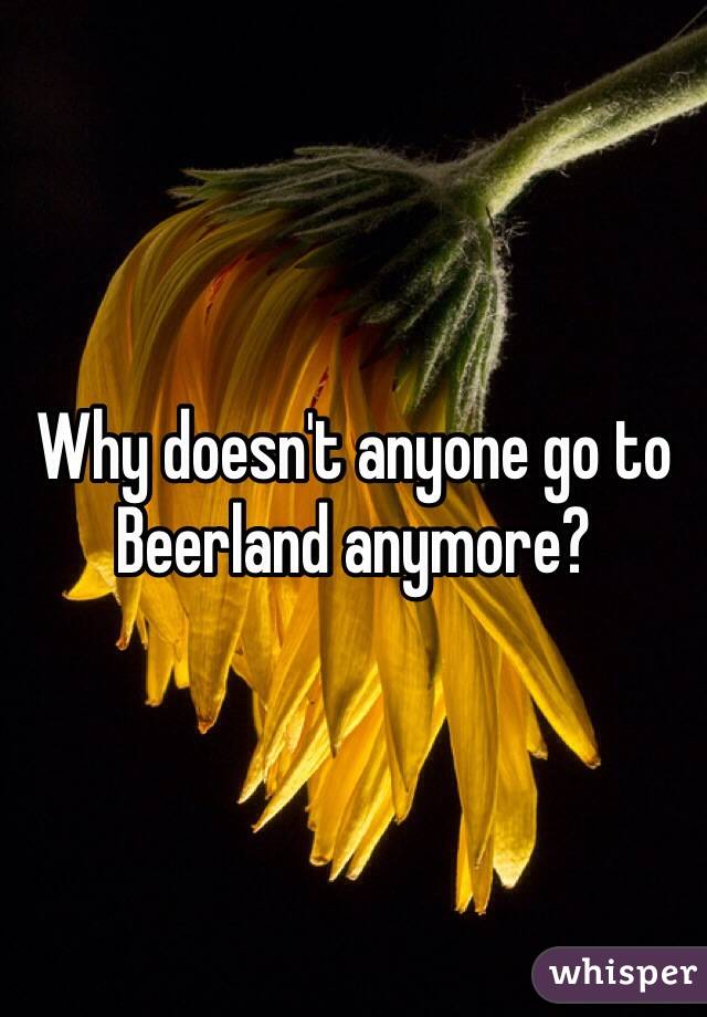 Why doesn't anyone go to Beerland anymore?