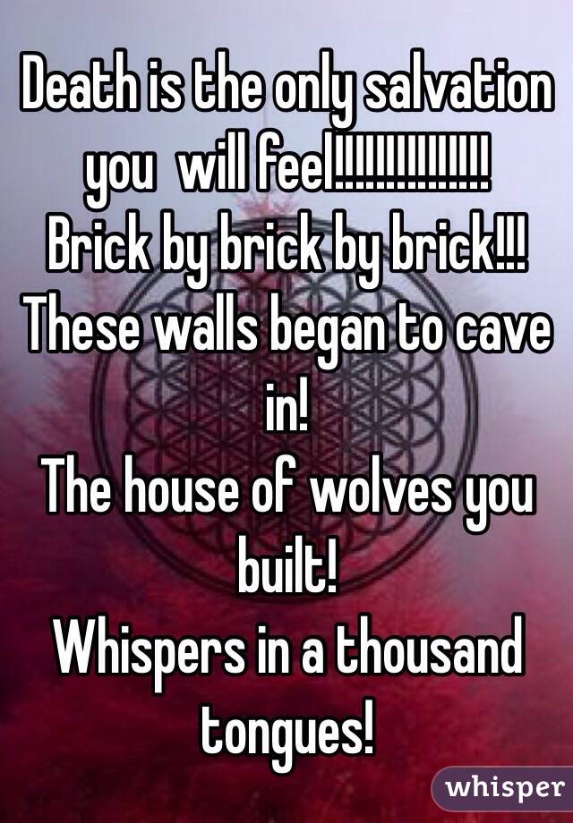 Death is the only salvation you  will feel!!!!!!!!!!!!!!!
Brick by brick by brick!!!
These walls began to cave in!
The house of wolves you built!
Whispers in a thousand tongues! 