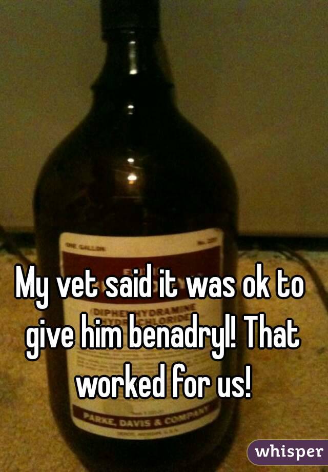 My vet said it was ok to give him benadryl! That worked for us!