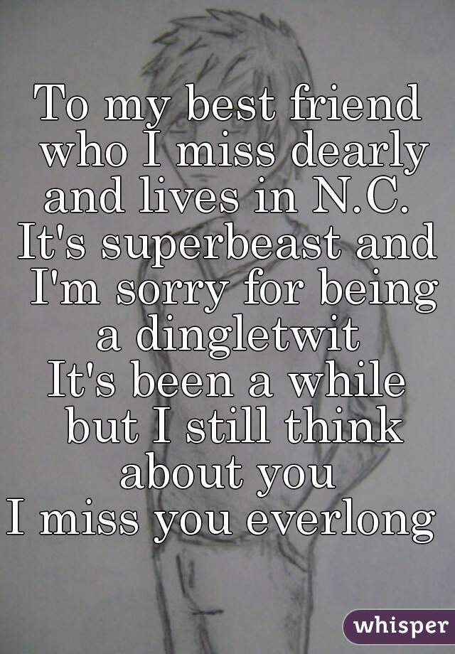 To my best friend who I miss dearly and lives in N.C. 
It's superbeast and I'm sorry for being a dingletwit 
It's been a while but I still think about you 
I miss you everlong 
