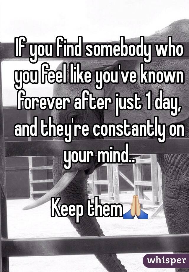If you find somebody who you feel like you've known forever after just 1 day, and they're constantly on your mind.. 

Keep them🙏🏼