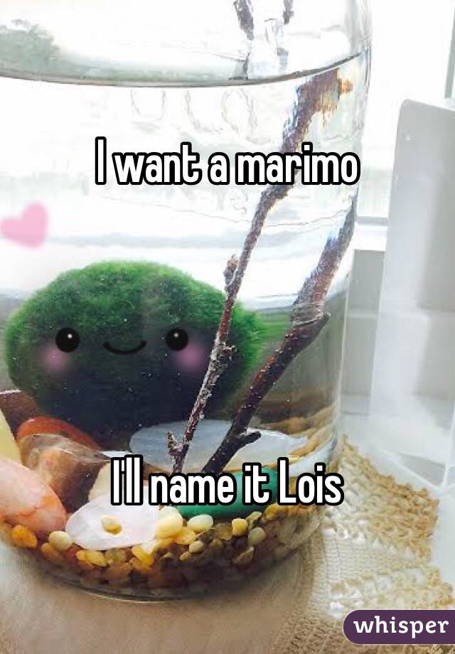 I want a marimo




I'll name it Lois