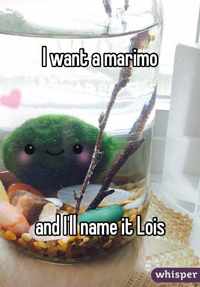 I want a marimo





and I'll name it Lois