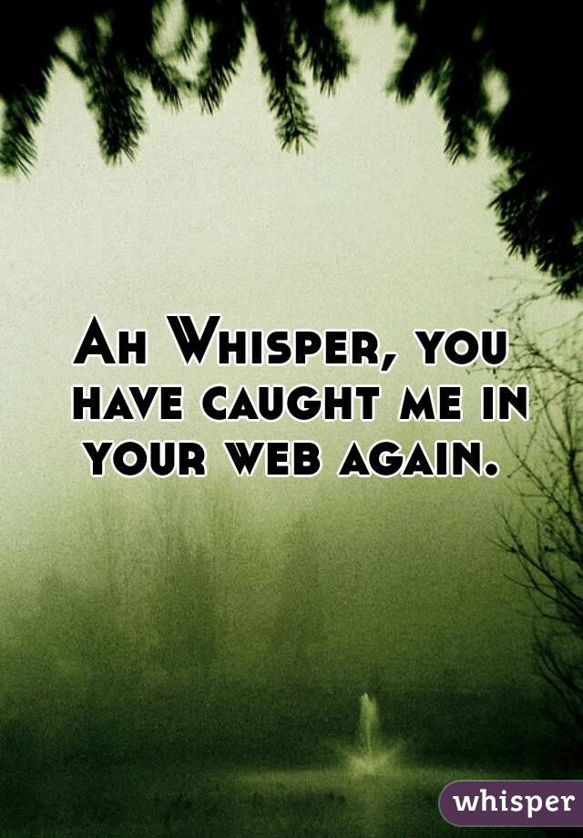 Ah Whisper, you have caught me in your web again. 