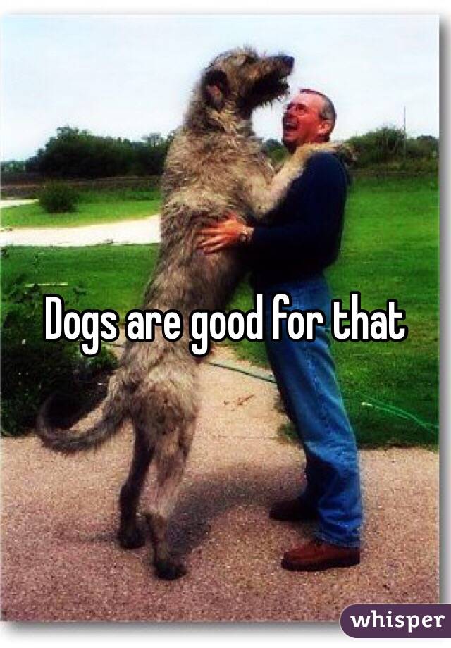Dogs are good for that