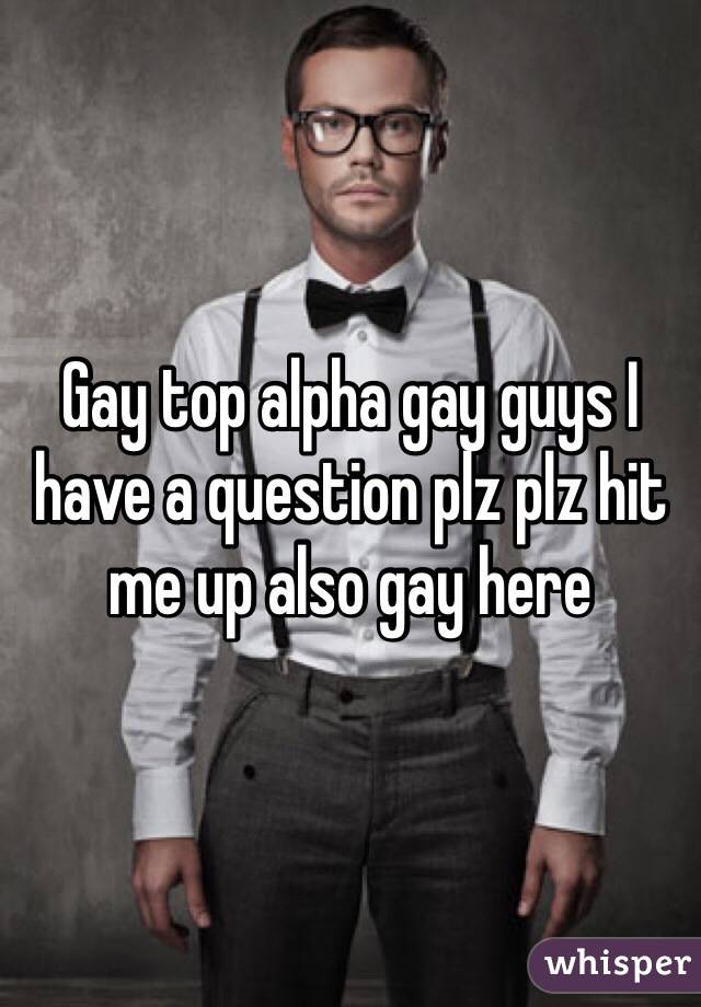 Gay top alpha gay guys I have a question plz plz hit me up also gay here