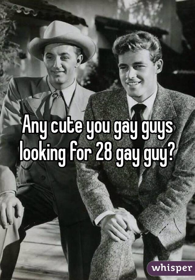 Any cute you gay guys looking for 28 gay guy?