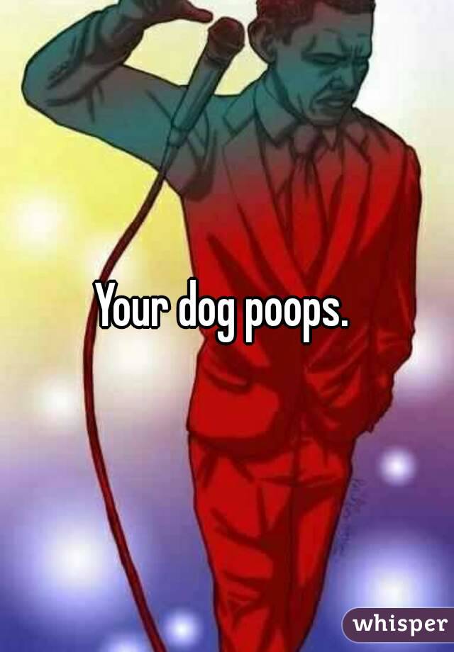 Your dog poops. 