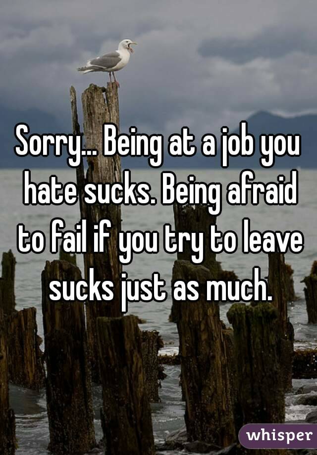 Sorry... Being at a job you hate sucks. Being afraid to fail if you try to leave sucks just as much.