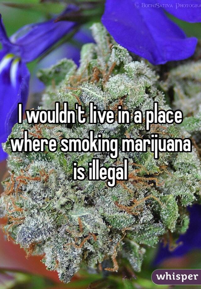 I wouldn't live in a place where smoking marijuana is illegal 