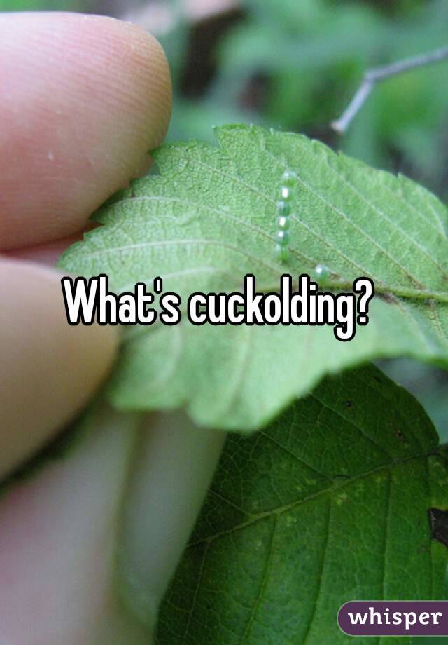 What's cuckolding? 