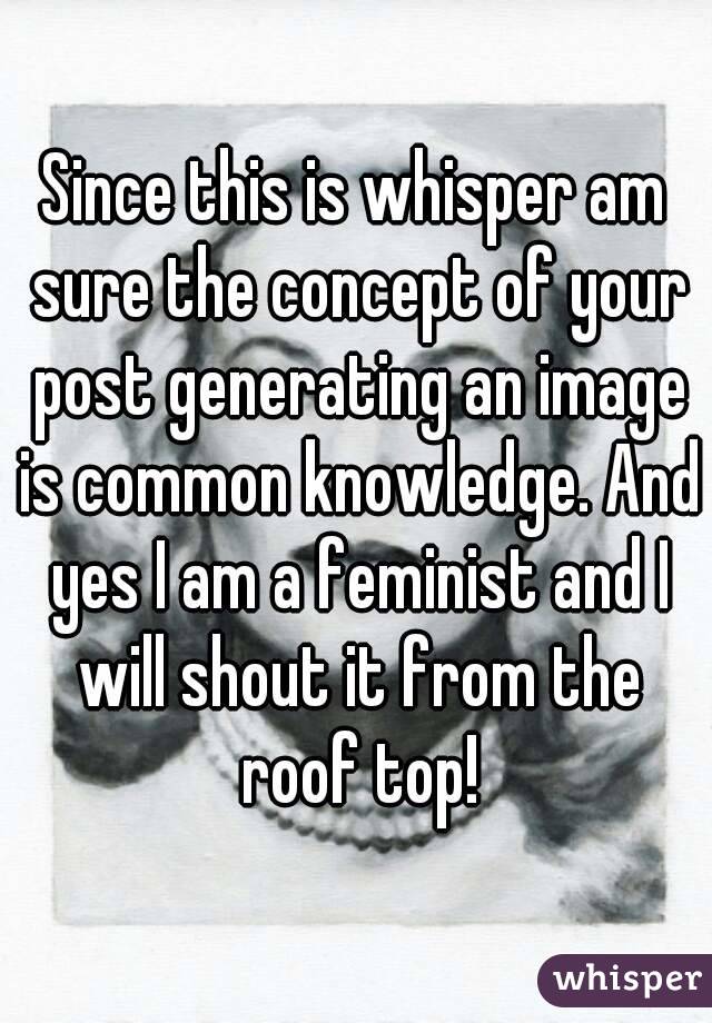Since this is whisper am sure the concept of your post generating an image is common knowledge. And yes I am a feminist and I will shout it from the roof top!