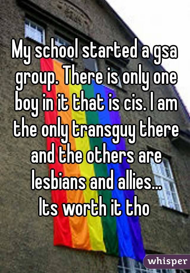 My school started a gsa group. There is only one boy in it that is cis. I am the only transguy there and the others are lesbians and allies...
Its worth it tho