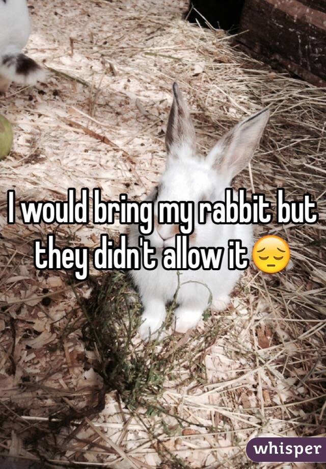 I would bring my rabbit but they didn't allow it😔