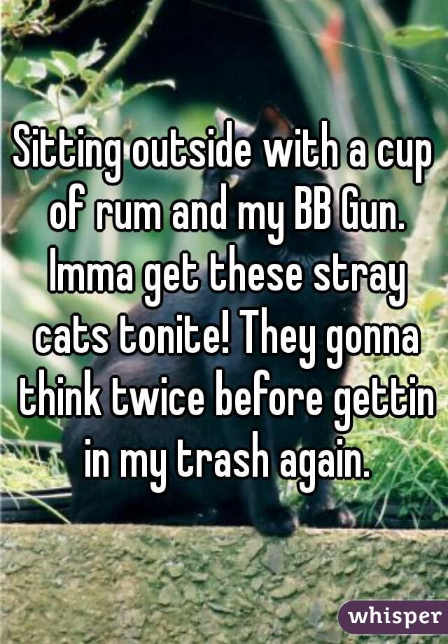 Sitting outside with a cup of rum and my BB Gun. Imma get these stray cats tonite! They gonna think twice before gettin in my trash again.