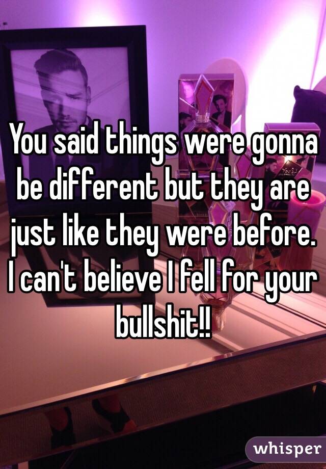 You said things were gonna be different but they are just like they were before. I can't believe I fell for your bullshit!!