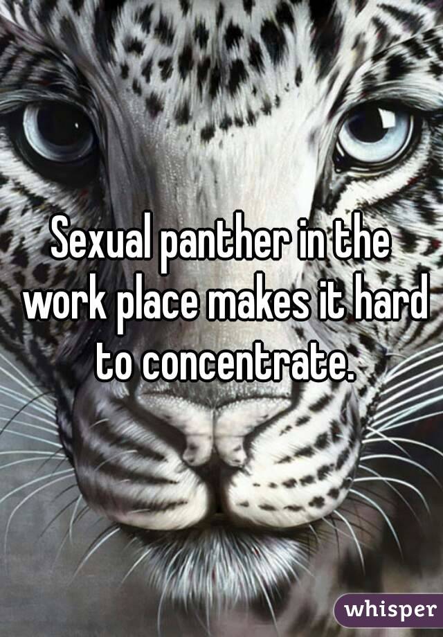 Sexual panther in the work place makes it hard to concentrate.