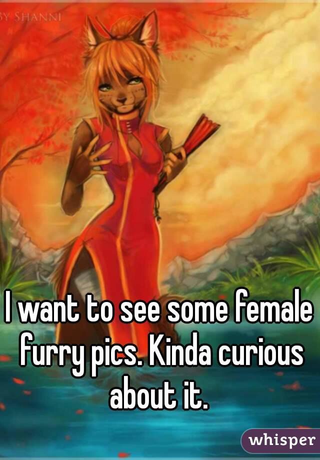 I want to see some female furry pics. Kinda curious about it. 
