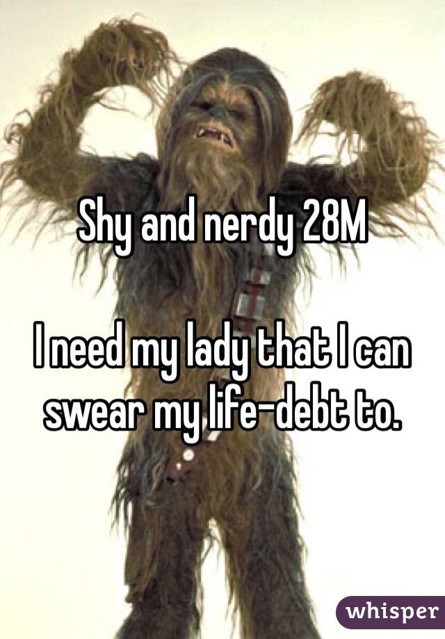 Shy and nerdy 28M

I need my lady that I can swear my life-debt to.