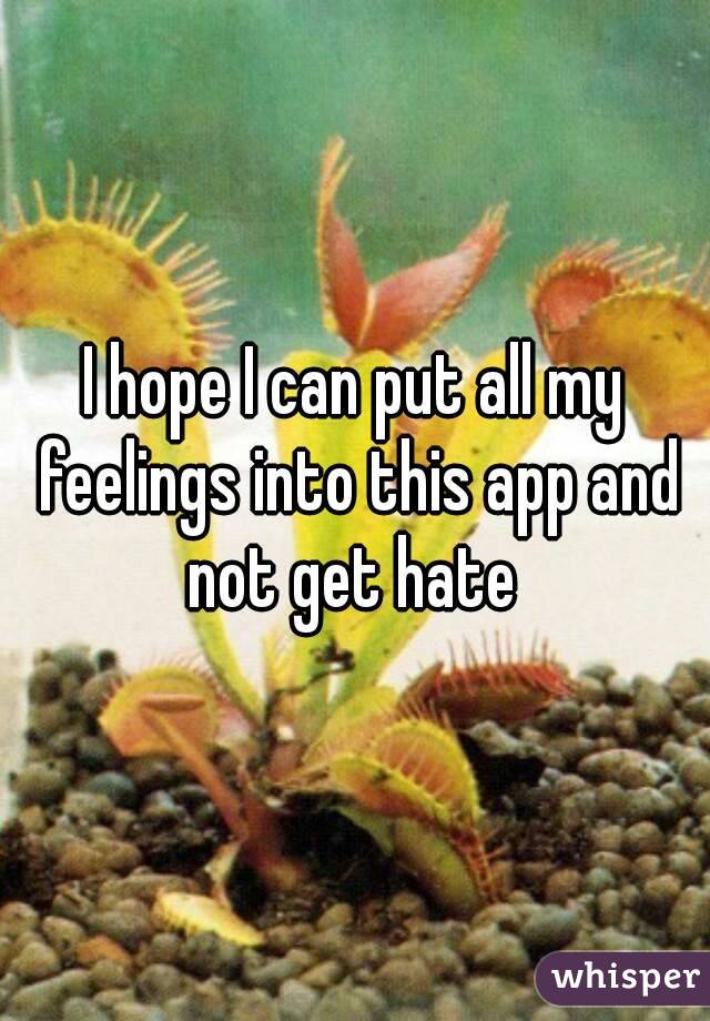I hope I can put all my feelings into this app and not get hate 